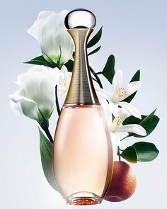 花卉植物場景產品在蔬菜種植中的應用與效益