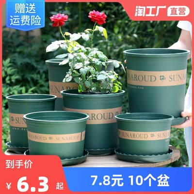 花卉網購熱潮 綠植經濟與生活美學的數(shù)字融合